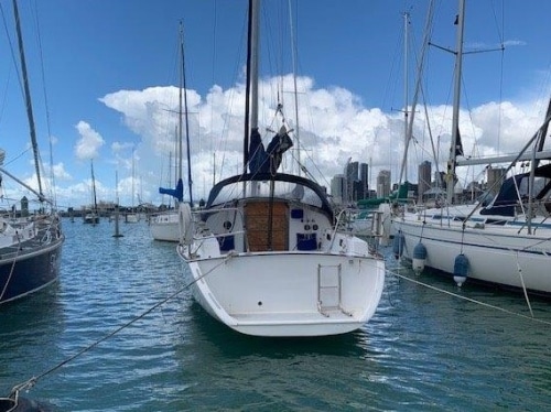 Caribbean-8