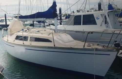 Marauder 8.4 Centreboard Marauder 8.4 Centreboard