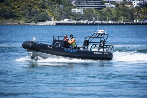 Pumau-15