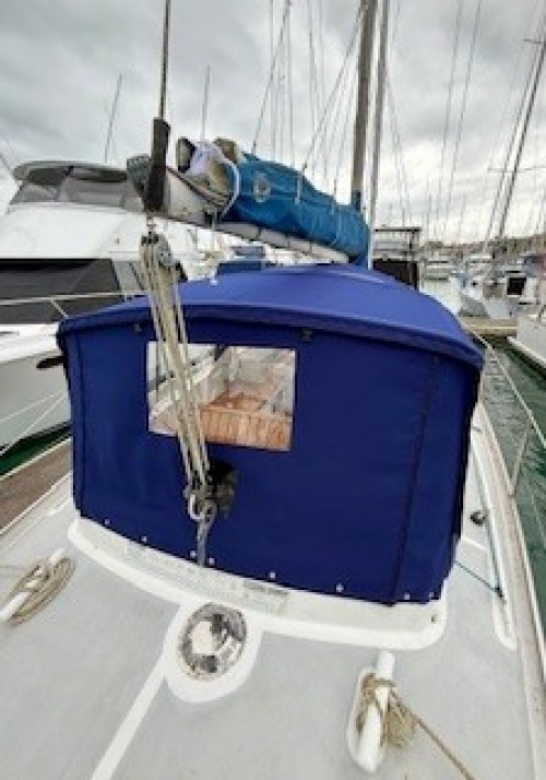 Saphira-238