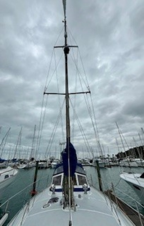 Saphira-242