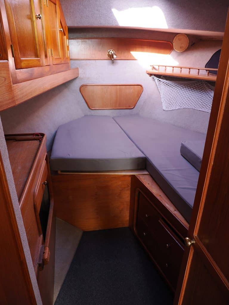 Tasman-Ranger-50