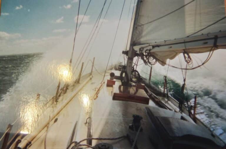 Wakaya-20