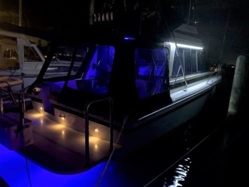 Predator-109