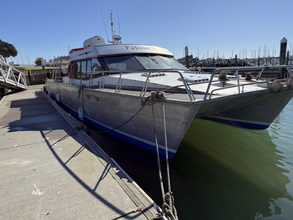 Falcon II