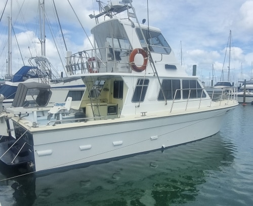 Horizon-150