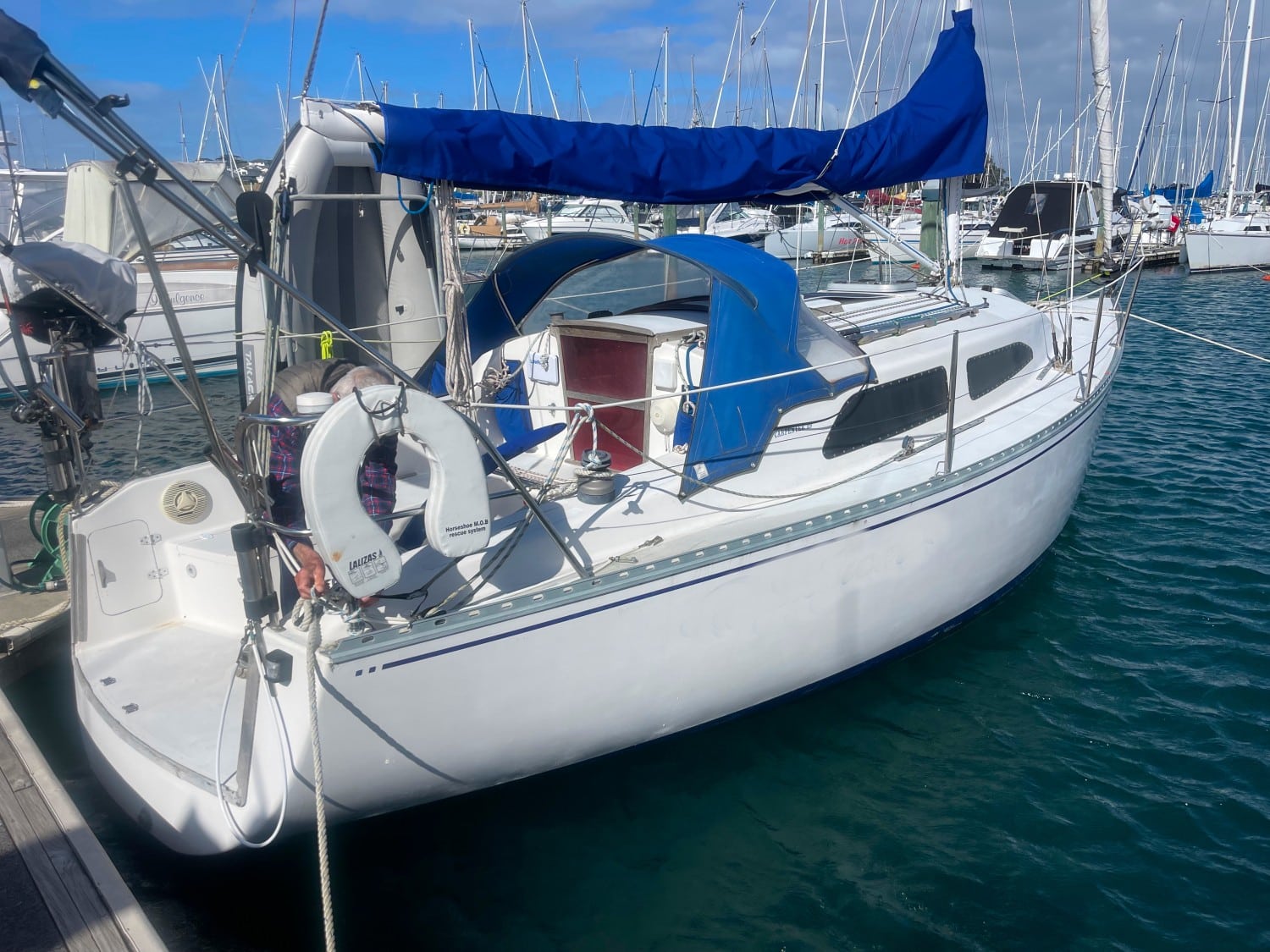Carpenter 29