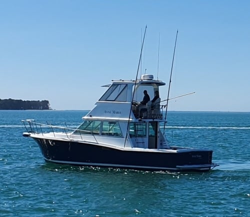 7509-mariner-34-extended-01