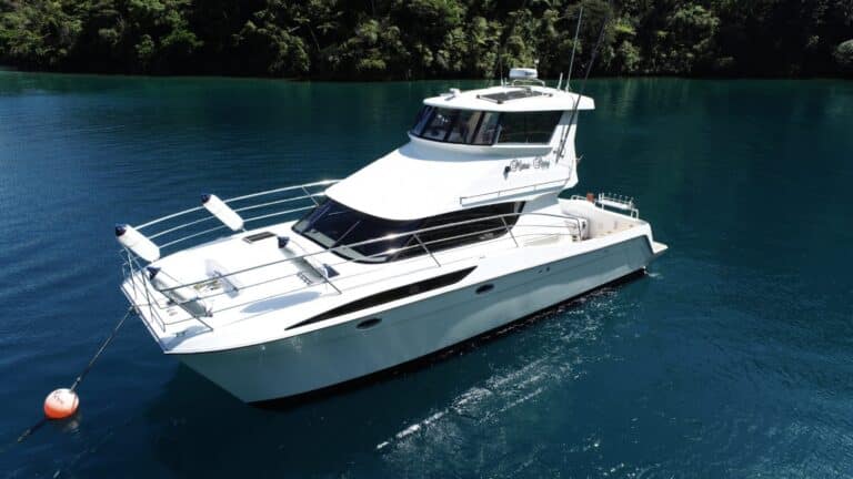 B803-alan-wright-12m-catamaran-01