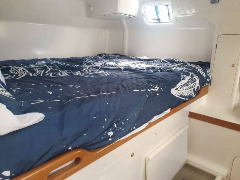 B818-given-1500-sailing-cat-15