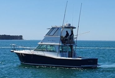 7509-mariner-34-extended-01
