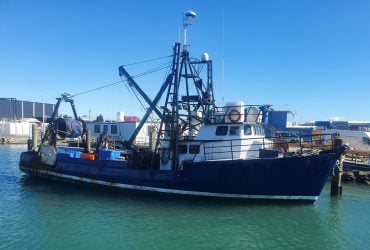 B810-steel-stern-trawler-surveyed-restricted-01